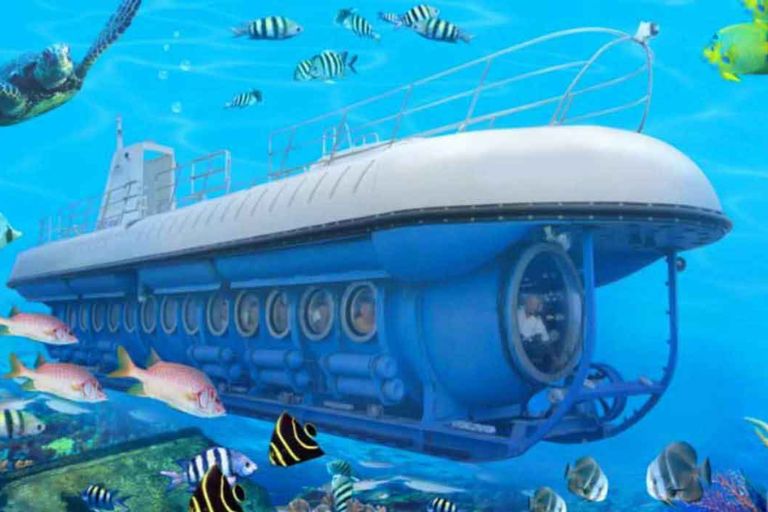 Blue Safari – Submarine & Subscooter