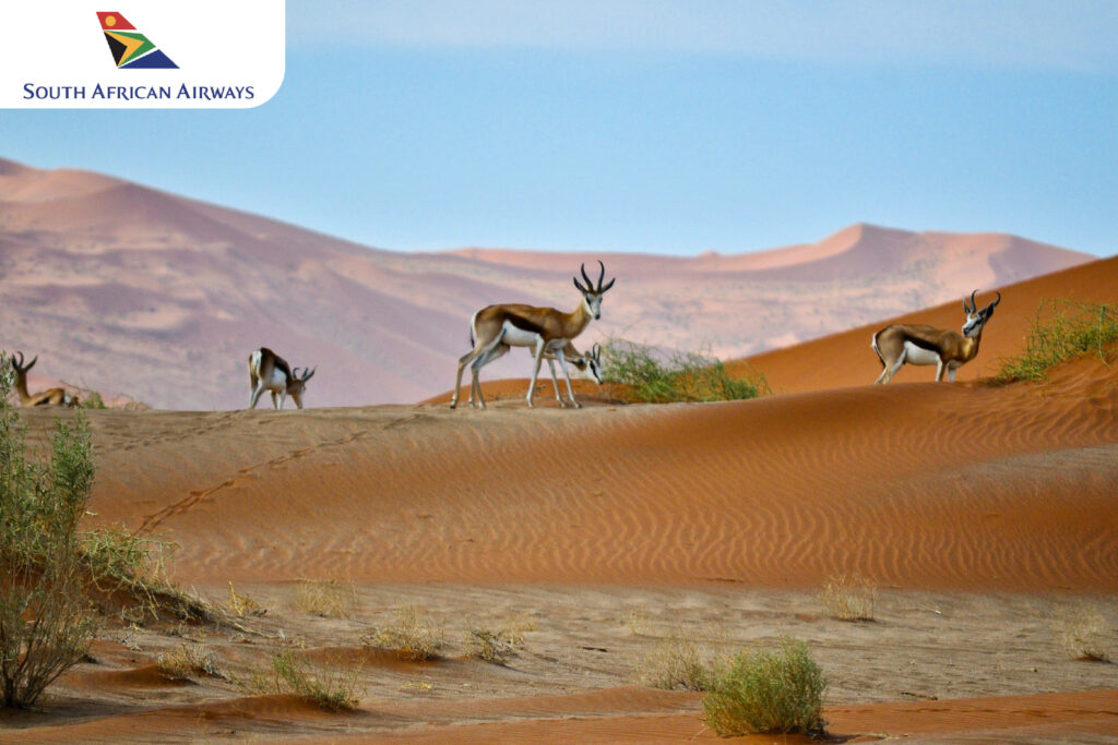 South African Airways: Namibia