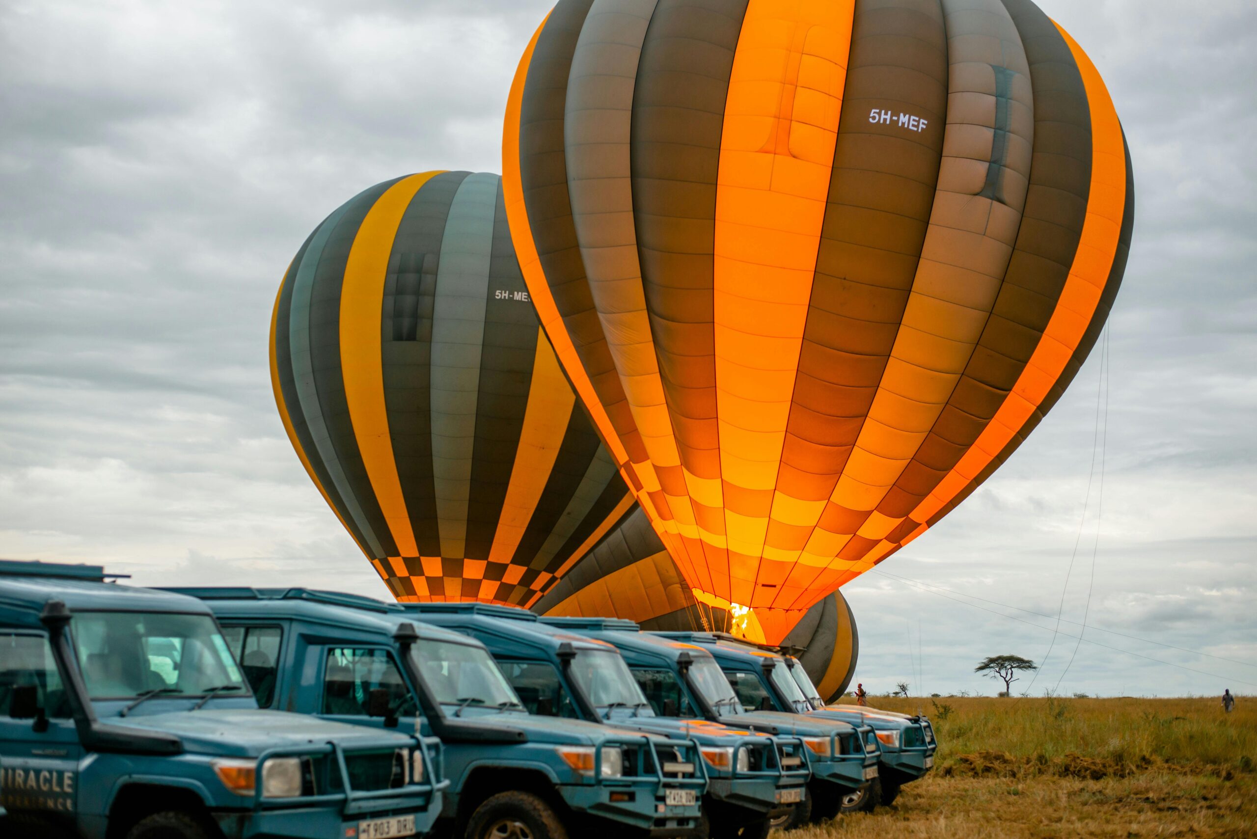 pexels-tanzania-wild-sky-986912744-20179668