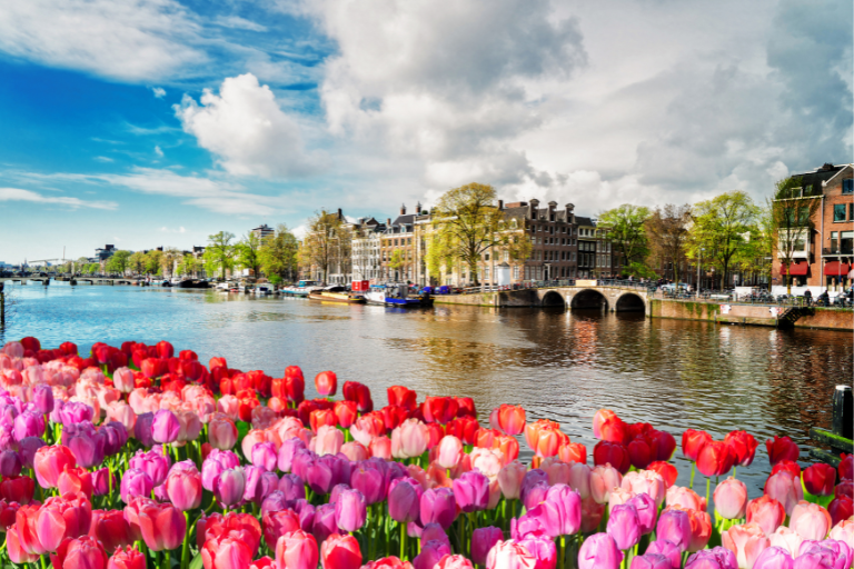 Amsterdam Tulip Festival