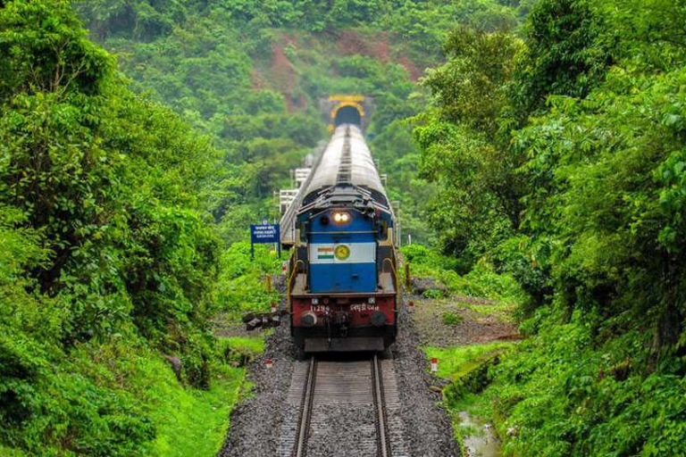 Coorg & Bangalore