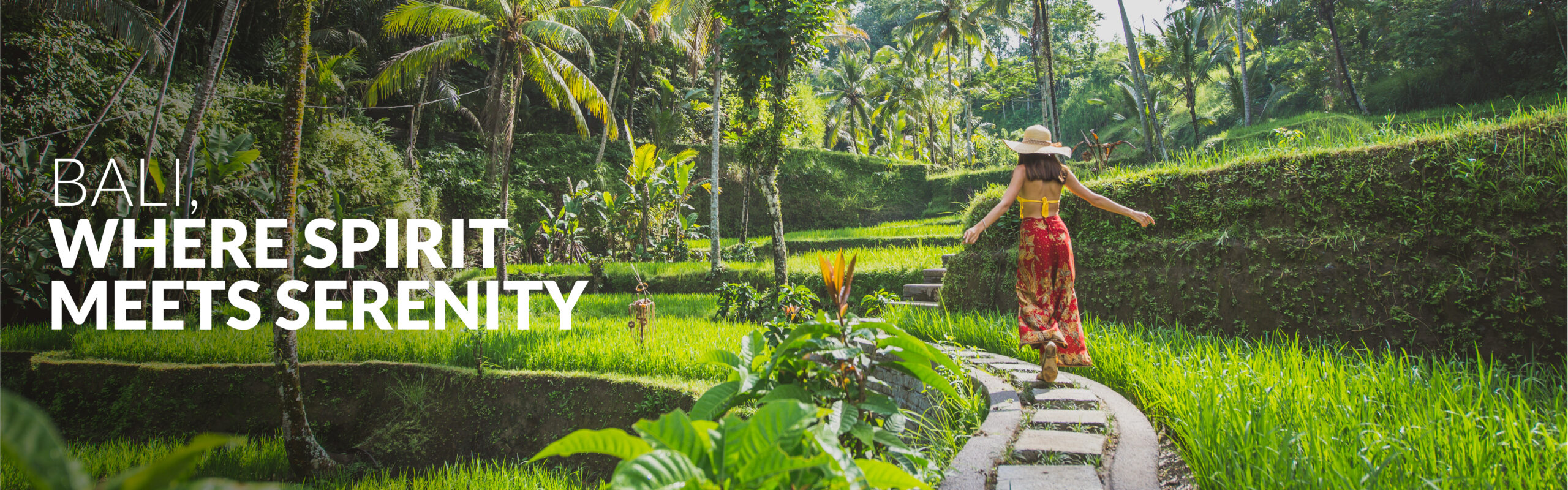 Bali: view packages