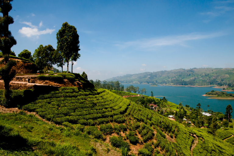 Best of Sri Lanka