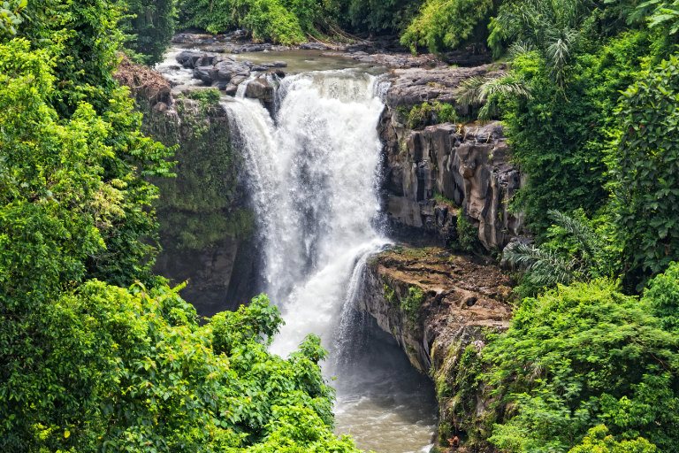 Ho Chi Minh (11)